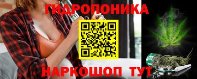 сатива Дубна