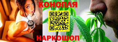 сатива Дубна