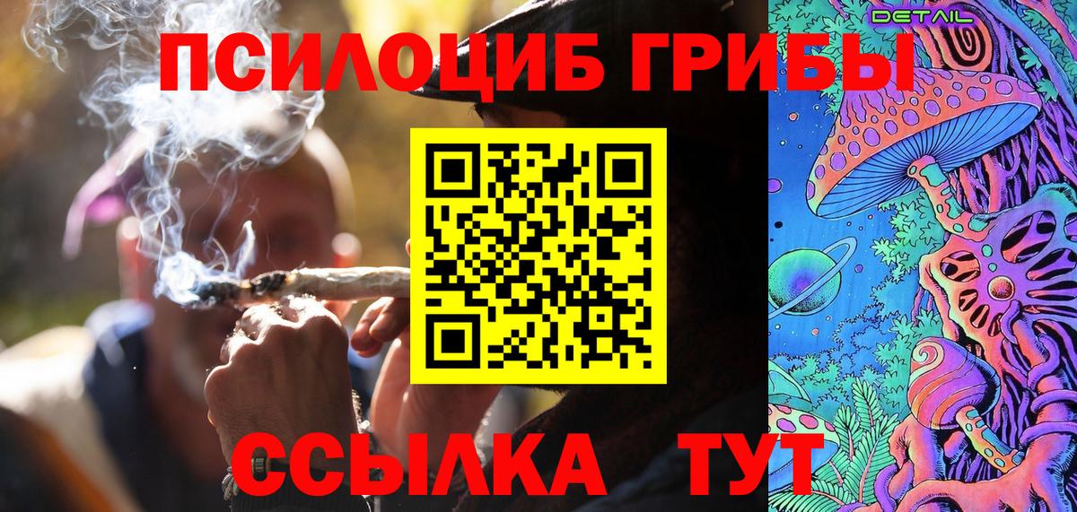 Псилоцибиновые грибы Psilocybe Каменка