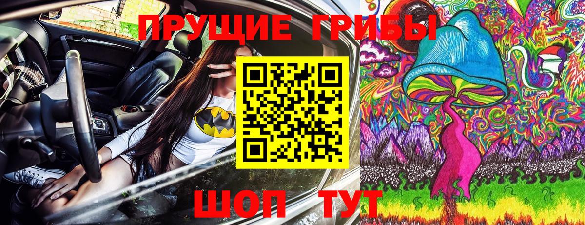 Каменка  Галлюциногенные грибы Cubensis  Галлюциногенные грибы GOLDEN TEACHER  Вход с VPN 